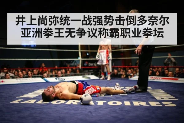 boxing knockout