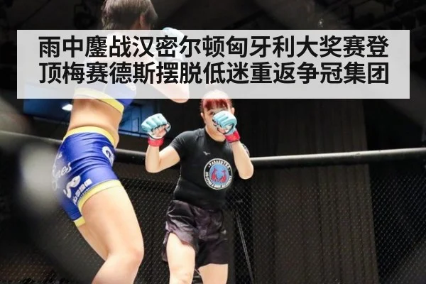 雨中鏖战汉密尔顿匈牙利大奖赛登顶梅赛德斯摆脱低迷重返争冠集团
