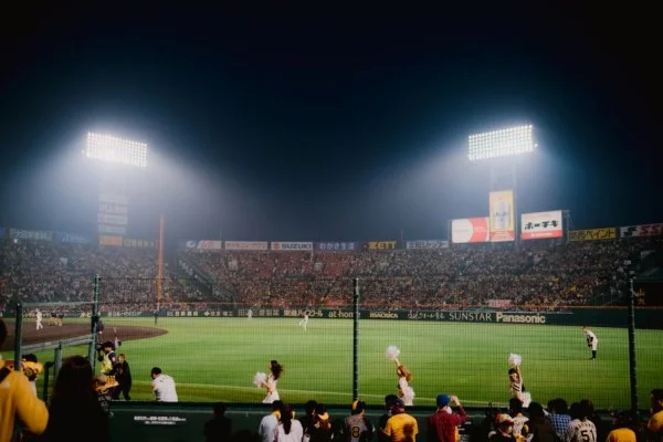 baseball stadium night